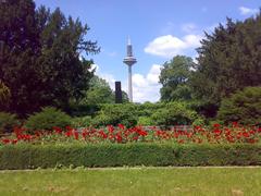 Memorial stele in Grüneburgpark Frankfurt with TV tower and rose bed