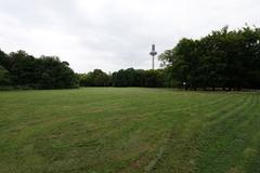 Green Grüneburgpark with walking paths and trees in Frankfurt am Main