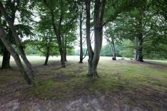 Panoramic view of Grüneburgpark with green trees and vibrant greenery in Frankfurt am Main