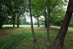 Grüneburgpark in Frankfurt am Main with lush green trees and walking paths on a bright day