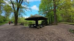 Single-trunk shelter on the shore of Rather Weiher in Königsforst Cologne