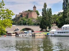 Flöße and the event ship Stadt Halle at the riverbank near Kröllwitzer Brücke bridge in Halle (Saale)