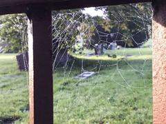 Spider webs on the fence of Bohemian National Cemetery in the early morning