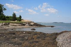 Low tide shoreline of Langlee Island with Ascophyllum algae mats and boats in harbor