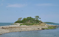 Aerial view of Sheep Island, a small uninhabited drumlin island in Boston Harbor with green vegetation and rocky shoreline