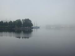 Misty morning waterfront view in Stockholm with Vasa Museum partially visible behind trees