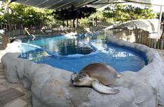 Exhibition at Oceanario de Aracaju with colorful coral and marine life display