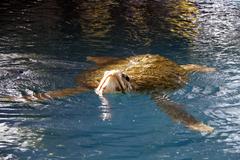 Oceanario in Aracaju, Sergipe, Brazil with visitors exploring marine life exhibits