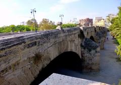 View of Pont del Real bridge in Valencia with flowers and cityscape in the background