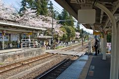 Kita-Kamakura Station with cherry trees in full blossom in April 2008