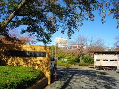 Taisho University Saitama Campus buildings and landscape