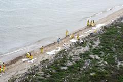 Federal and local agency workers cleaning oil spill on Texas beaches March 27 2014