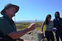 Professor Dr. Mike Simpson teaching botany class outdoors at TJNWR, identifying Silver Beach Bur plant