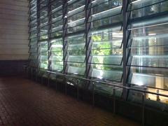 Night lighting at the rear glass enclosure of Britomart Transport Centre in Auckland City New Zealand