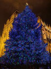Christmas tree at Kossuth Lajos Square in Budapest at night