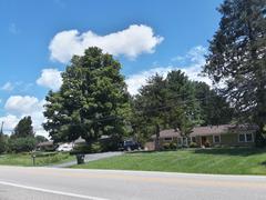 Residential area in Lyndhurst, Virginia with houses surrounded by trees