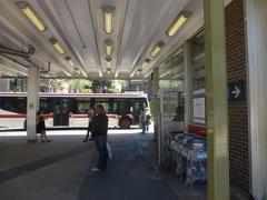 Bus and streetcar platforms at Broadview TTC Station with vehicles and passengers