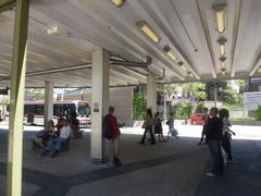 Bus and streetcar platforms at Broadview TTC Station with parked vehicles and passengers