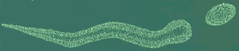 Ground plan drawing of Otonabee Serpent Mound archaeological site in Ontario, Canada