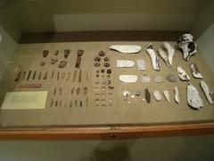 Miami Circle ancient artifacts displayed at HistoryMiami museum in Florida