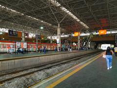 Brás station train platforms and tracks with multiple trains and passengers at interchange