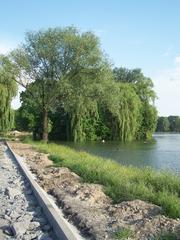 Small island on a reservoir with trees and greenery