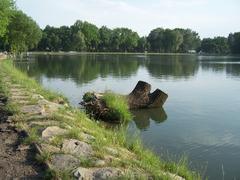Zalew Nowohucki lake with clear water, surrounded by greenery and residential buildings under blue sky
