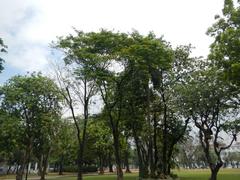 Presidential Museum and Library at Malacañang Palace facing Freedom Park in San Miguel Manila