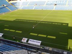 Estadio José Rico Pérez under renovation with workers painting seats in summer 2010
