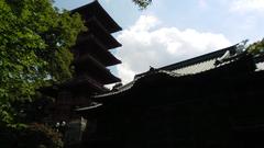 Museums Of The Far East