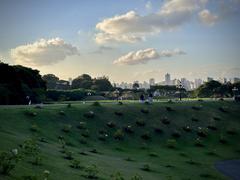 Curitiba downtown skyline viewed from the lush Botanical Garden with modern buildings and greenery
