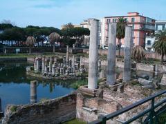 Ancient Roman market known as Temple of Serapis surrounded by palm trees in Pozzuoli, Italy, affected by red palm weevil infestation