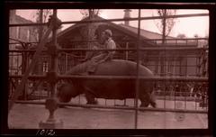Man sitting on a hippo in Central Park, New York, circa 1913