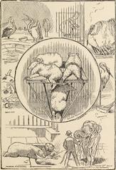 The American Museum of Natural History illustration from 1891 showing the museum building and Central Park Menagerie sketches