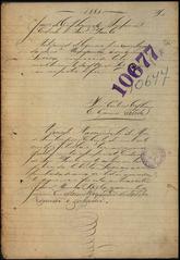 Historical document Auto de Diligência Solicitada pela Escrava Liberta from São Paulo Public Archive