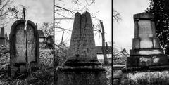 Abandoned Jewish cemetery with old tombstones in Budapest black and white photo