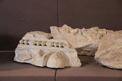 Archaeological underground ruins of the Stadium of Domitian in Piazza Navona, Rome