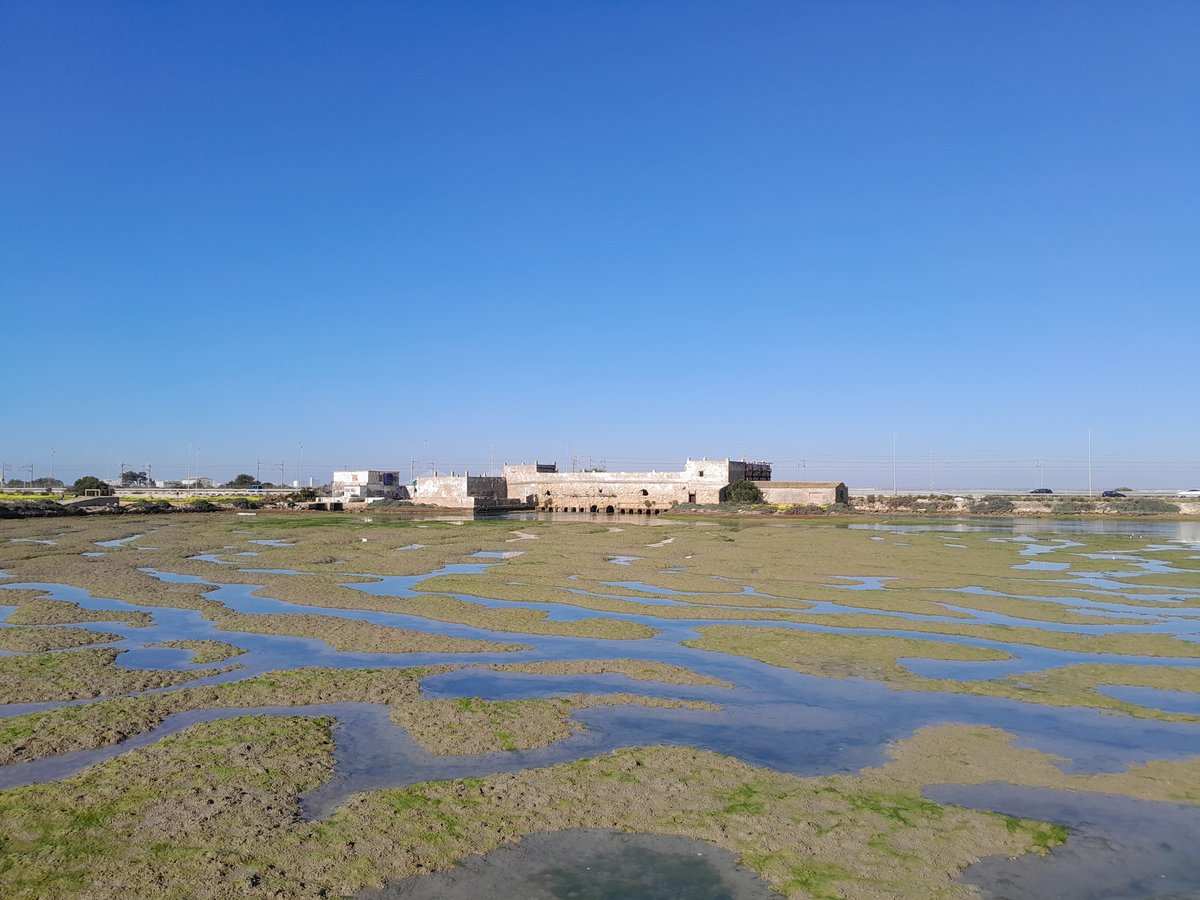 Scenic view of San Fernando, Spain in January 2025 with historical buildings and clear sky