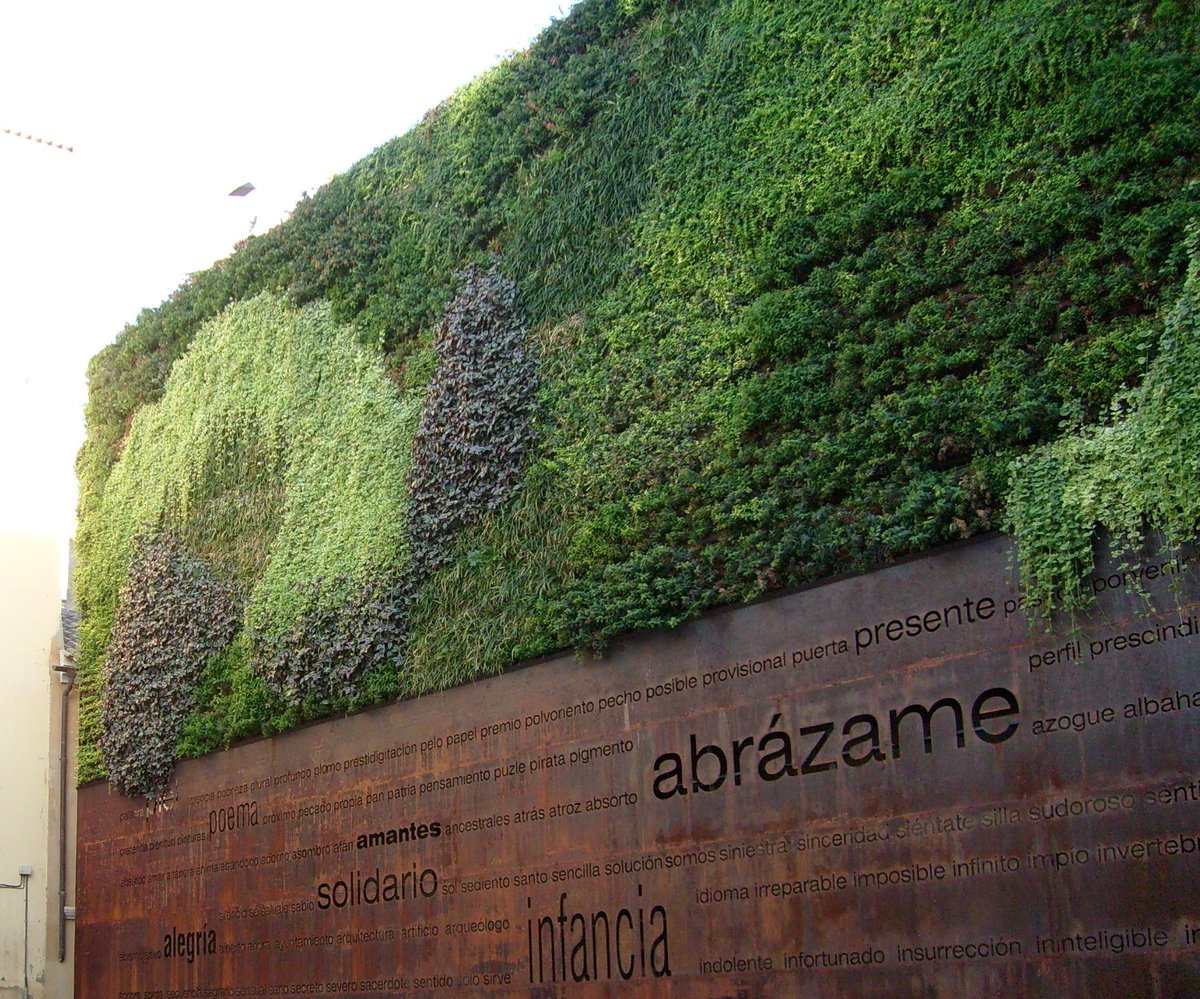 Vertical garden at Plaza del Pericón in Málaga with lush green plants on a building wall