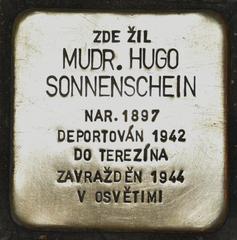 Stolperstein Dedicated To Hugo Sonnenschein