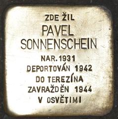 Stolperstein Dedicated To Pavel Sonnenschein