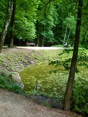 Lush green forest area in Bitzevski Park with dense trees and foliage