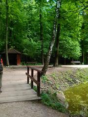 Nature scene in Bitzevski Park with lush green trees and peaceful atmosphere
