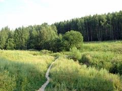 Riverbed of Chertanovka River near Lysaya Gora in Bitsevskiy Forest Park