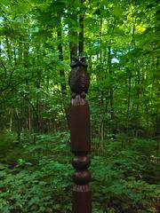 Wooden owl sculpture in Bitsevski Park